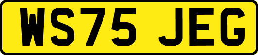 WS75JEG