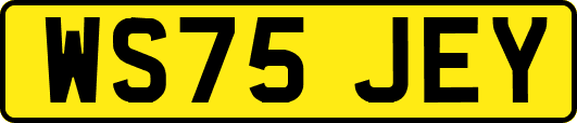 WS75JEY