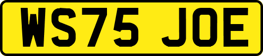 WS75JOE