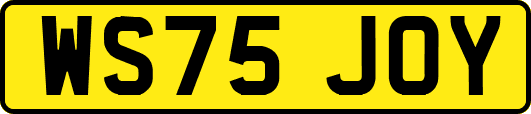 WS75JOY
