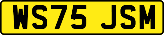 WS75JSM