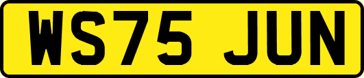 WS75JUN