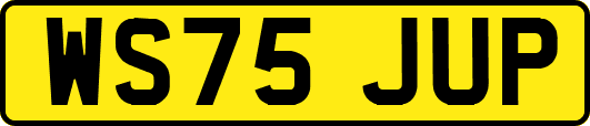 WS75JUP