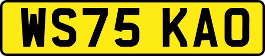 WS75KAO