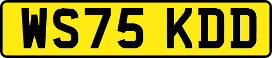 WS75KDD