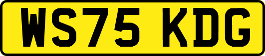 WS75KDG