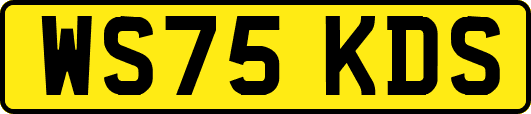 WS75KDS