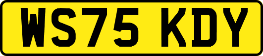 WS75KDY