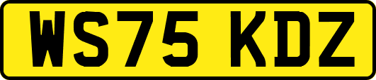 WS75KDZ
