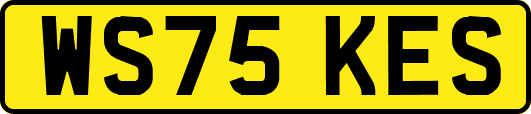 WS75KES
