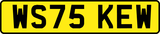 WS75KEW