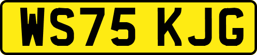 WS75KJG