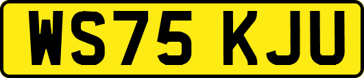 WS75KJU