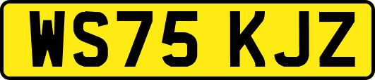 WS75KJZ