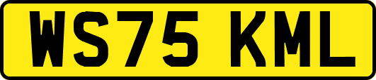 WS75KML
