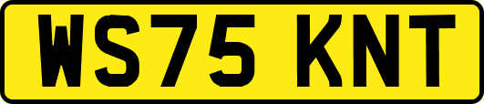 WS75KNT