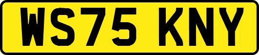 WS75KNY