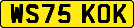 WS75KOK