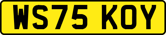 WS75KOY