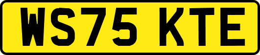 WS75KTE