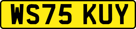 WS75KUY