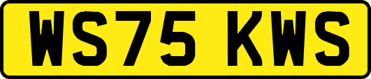 WS75KWS