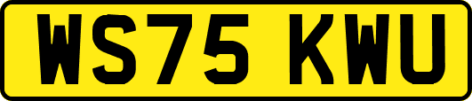 WS75KWU