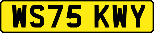WS75KWY