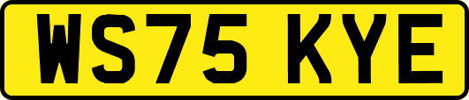 WS75KYE