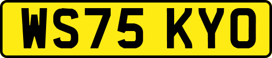 WS75KYO