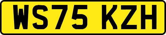 WS75KZH