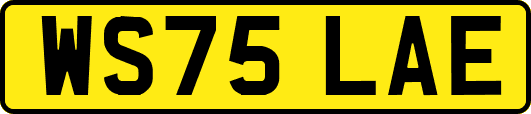 WS75LAE