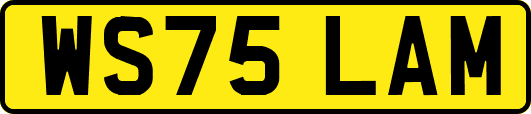 WS75LAM