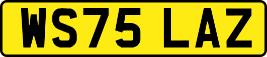 WS75LAZ