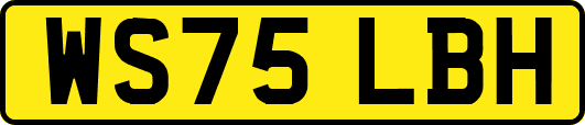 WS75LBH