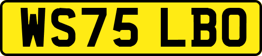 WS75LBO