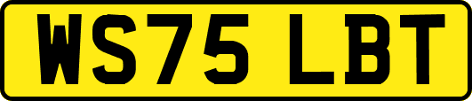 WS75LBT