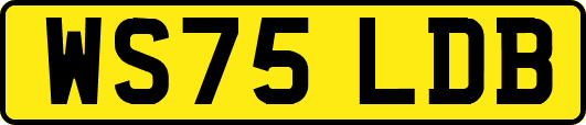 WS75LDB