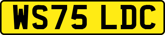 WS75LDC