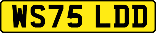 WS75LDD