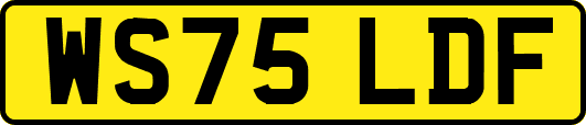 WS75LDF