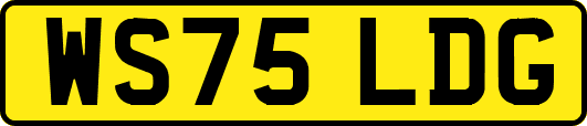 WS75LDG