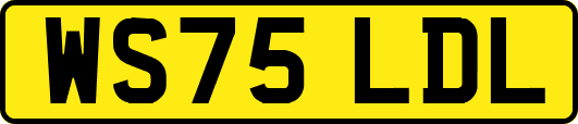 WS75LDL