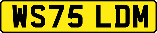 WS75LDM
