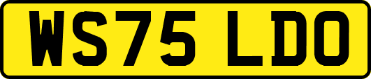 WS75LDO