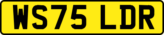 WS75LDR