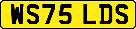 WS75LDS