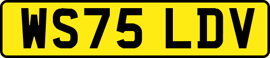 WS75LDV