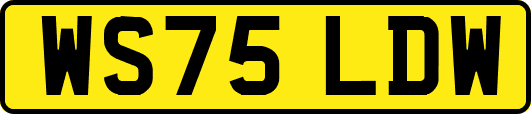WS75LDW