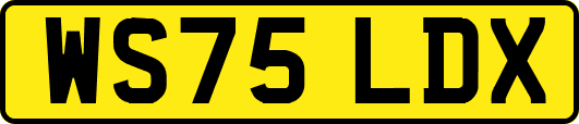 WS75LDX